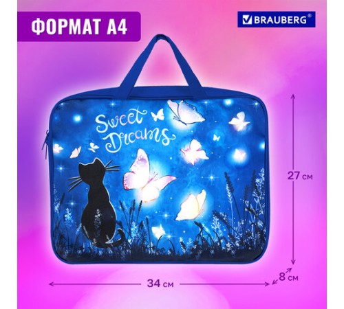 Папка на молнии с ручками BRAUBERG А4, 1 отделение, полиэстер, 80 мм, 