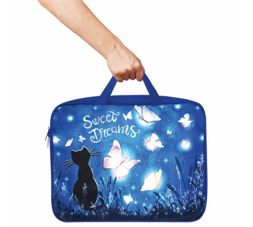 Папка на молнии с ручками BRAUBERG А4, 1 отделение, полиэстер, 80 мм, 