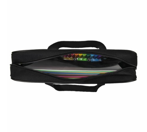 Папка на молнии с ручками BRAUBERG А4, 1 отделение, полиэстер, 80 мм, 