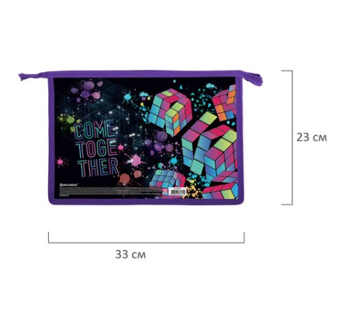 Папка для труда на молнии BRAUBERG А4, 2 отделения, органайзер, 