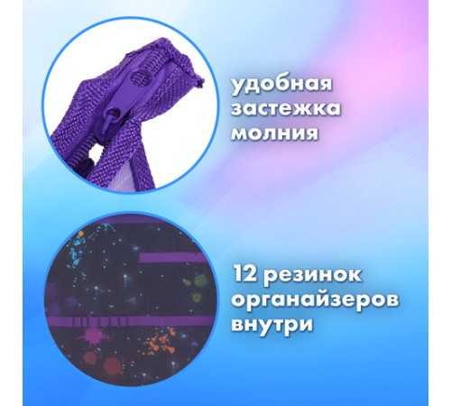 Папка для труда на молнии BRAUBERG А4, 2 отделения, органайзер, 