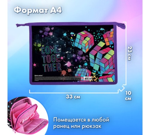 Папка для труда на молнии BRAUBERG А4, 2 отделения, органайзер, 