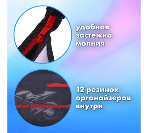 Папка для труда на молнии BRAUBERG А4, 2 отделения, органайзер, 