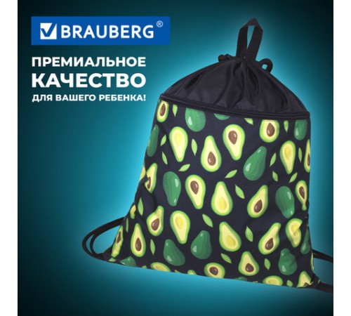 Мешок для обуви BRAUBERG БОЛЬШОЙ, с ручкой, карман на молнии, сетка, 49х41 см, 