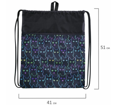 Мешок для обуви BRAUBERG БОЛЬШОЙ, с ручкой, карман на молнии, сетка, 49х41 см, 