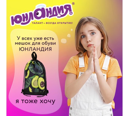 Мешок для обуви ЮНЛАНДИЯ, с ручками, боковой карман на молнии, 46х36 см, 