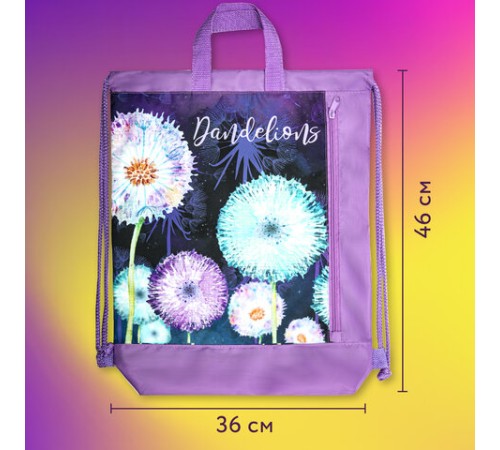 Мешок для обуви ЮНЛАНДИЯ с ручками, боковой карман на молнии, 46х36 см, 