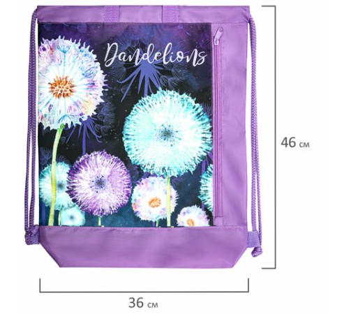 Мешок для обуви ЮНЛАНДИЯ с ручками, боковой карман на молнии, 46х36 см, 