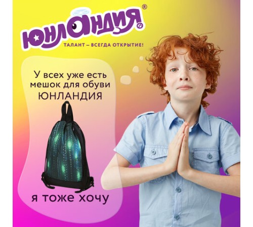 Мешок для обуви ЮНЛАНДИЯ, с ручками, боковой карман на молнии, 46х36 см, 