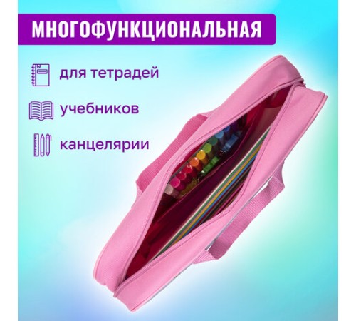 Папка на молнии с ручками BRAUBERG А4, 1 отделение, полиэстер, 80 мм, 