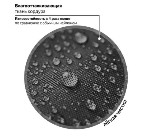 Ранец BRAUBERG PREMIUM, 2 отделения, с брелком, 