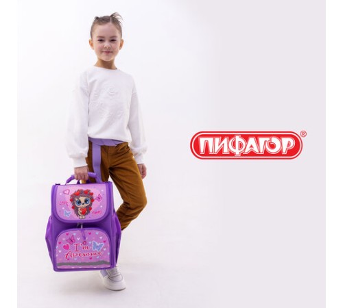 Ранец ПИФАГОР BASIC, 1 отделение, 3 кармана, эргономичная спинка, 