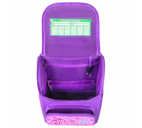 Ранец ПИФАГОР BASIC, 1 отделение, 3 кармана, эргономичная спинка, 