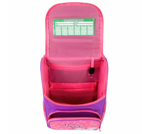 Ранец ПИФАГОР BASIC, 1 отделение, 3 кармана, эргономичная спинка, 