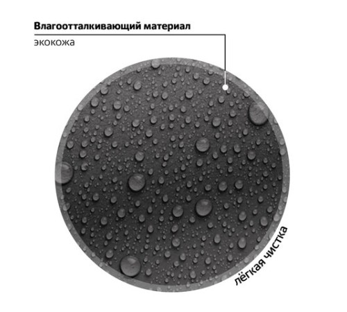 Ранец BRAUBERG SHINY, 2 отделения, с брелоком, 