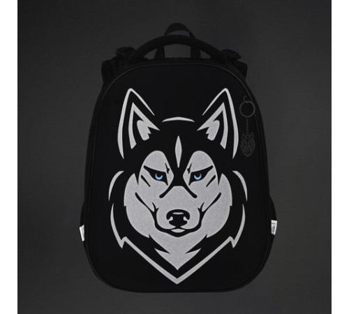 Ранец BRAUBERG SHINY, 2 отделения, с брелоком, 