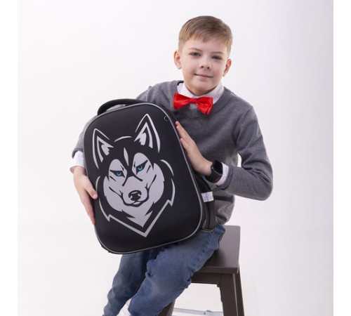 Ранец BRAUBERG SHINY, 2 отделения, с брелоком, 