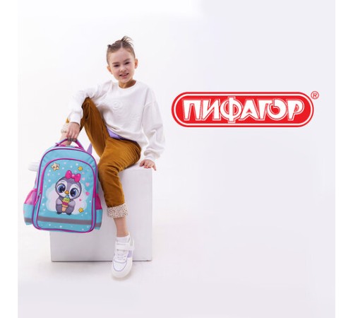 Рюкзак ПИФАГОР SCHOOL, 1 отделение, 3 кармана, 