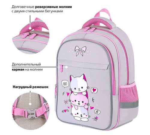 Рюкзак BRAUBERG FAVOUR, 2 отделения, 3 кармана, 