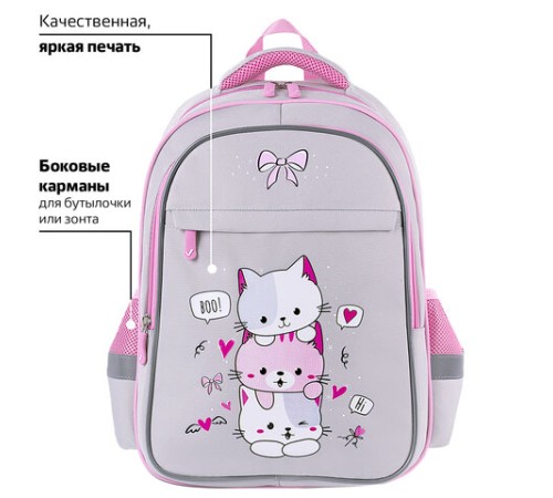 Рюкзак BRAUBERG FAVOUR, 2 отделения, 3 кармана, 