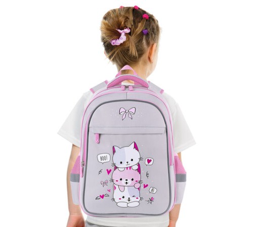 Рюкзак BRAUBERG FAVOUR, 2 отделения, 3 кармана, 