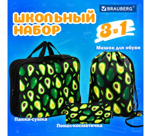 Папка на молнии с ручками А4, мешок для обуви 42х33 см, пенал 20х10 см, 