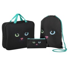 Папка на молнии с ручками А4, мешок для обуви 42х33 см, пенал 20х10 см, 