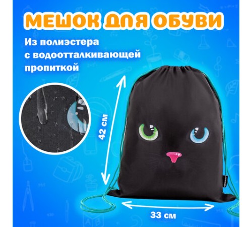 Папка на молнии с ручками А4, мешок для обуви 42х33 см, пенал 20х10 см, 