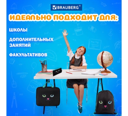 Папка на молнии с ручками А4, мешок для обуви 42х33 см, пенал 20х10 см, 