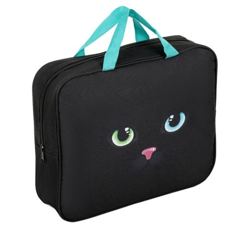 Папка на молнии с ручками А4, мешок для обуви 42х33 см, пенал 20х10 см, 