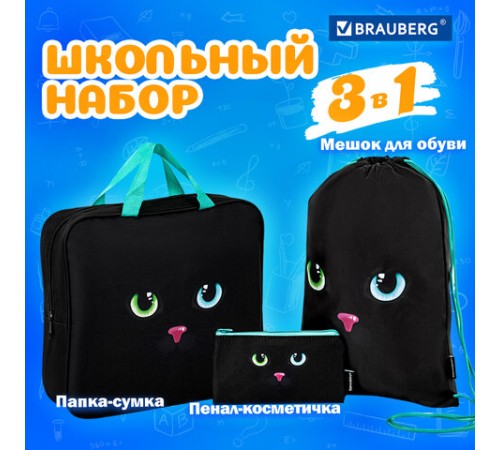 Папка на молнии с ручками А4, мешок для обуви 42х33 см, пенал 20х10 см, 