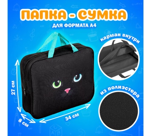 Папка на молнии с ручками А4, мешок для обуви 42х33 см, пенал 20х10 см, 