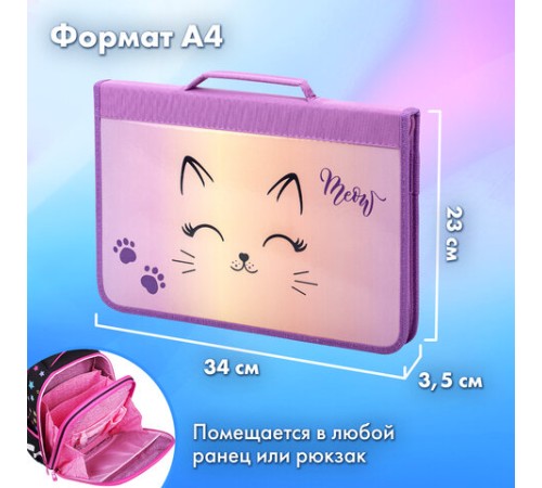 Папка на молнии BRAUBERG А4 с ручкой, с органайзером, 1 отделение, 