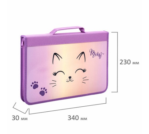 Папка на молнии BRAUBERG А4 с ручкой, с органайзером, 1 отделение, 