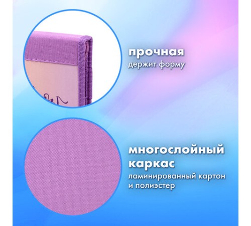 Папка на молнии BRAUBERG А4 с ручкой, с органайзером, 1 отделение, 