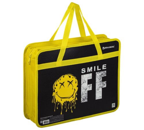 Папка на молнии с ручками BRAUBERG А4, 1 отделение, пластик, 80 мм, 