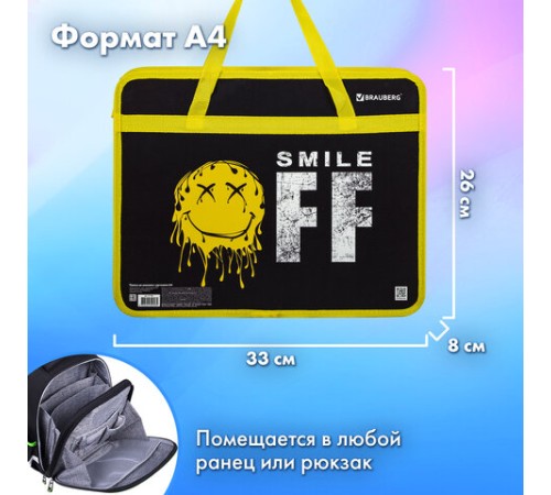 Папка на молнии с ручками BRAUBERG А4, 1 отделение, пластик, 80 мм, 