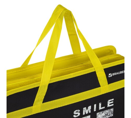 Папка на молнии с ручками BRAUBERG А4, 1 отделение, пластик, 80 мм, 