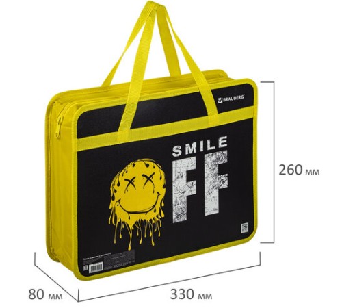 Папка на молнии с ручками BRAUBERG А4, 1 отделение, пластик, 80 мм, 