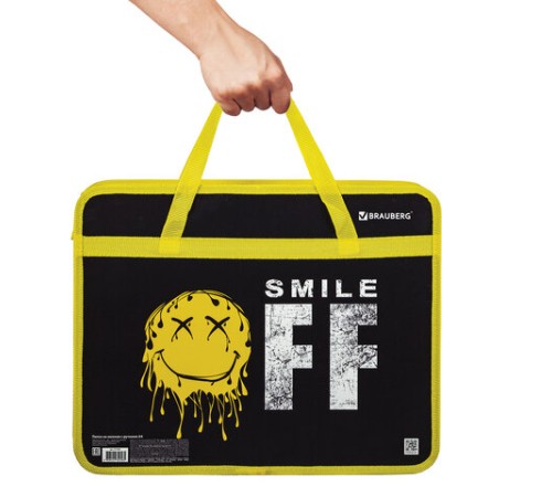 Папка на молнии с ручками BRAUBERG А4, 1 отделение, пластик, 80 мм, 