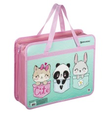 Папка на молнии с ручками BRAUBERG А4, 1 отделение, пластик, 80 мм, 