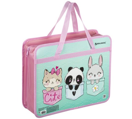 Папка на молнии с ручками BRAUBERG А4, 1 отделение, пластик, 80 мм, 