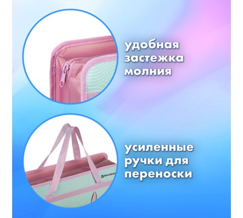 Папка на молнии с ручками BRAUBERG А4, 1 отделение, пластик, 80 мм, 