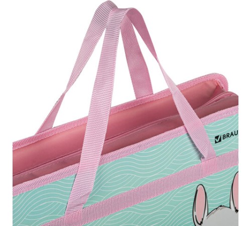 Папка на молнии с ручками BRAUBERG А4, 1 отделение, пластик, 80 мм, 