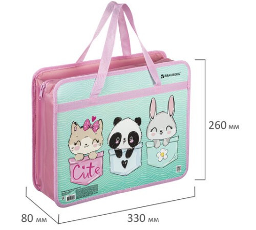 Папка на молнии с ручками BRAUBERG А4, 1 отделение, пластик, 80 мм, 