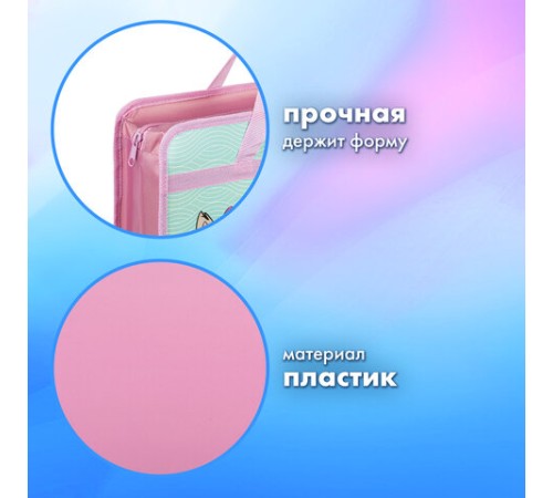 Папка на молнии с ручками BRAUBERG А4, 1 отделение, пластик, 80 мм, 