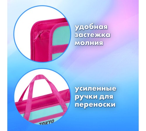Папка на молнии с ручками BRAUBERG А4, 1 отделение, пластик, 80 мм, 