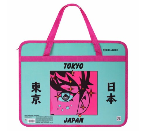 Папка на молнии с ручками BRAUBERG А4, 1 отделение, пластик, 80 мм, 