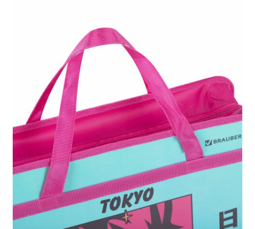 Папка на молнии с ручками BRAUBERG А4, 1 отделение, пластик, 80 мм, 