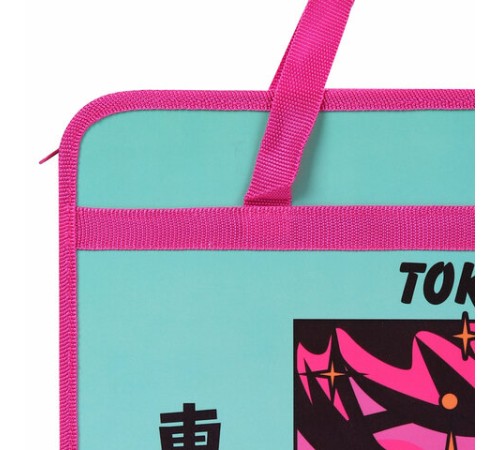 Папка на молнии с ручками BRAUBERG А4, 1 отделение, пластик, 80 мм, 